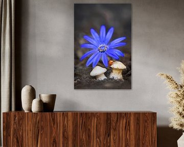 Marguerite bleue avec coccinelle sur champignons sur Patricia van Kuik