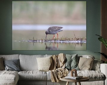 Foeragerende tureluur van Tanja van Beuningen