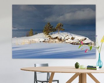 Winter aan de fjord, Noorwegen van Adelheid Smitt