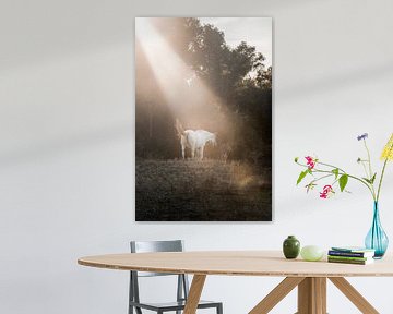 Paard Badend in Zacht Zonlicht aan de Bosrand van Femke Ketelaar