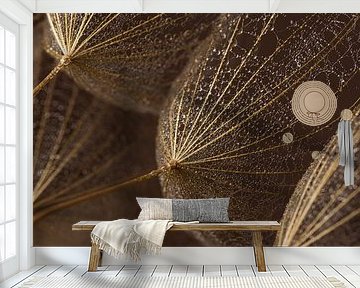 Golden brown fluff with tiny water droplets in the light by Marjolijn van den Berg