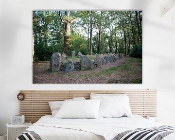 Hunebed D43 langgraf van Richard Wareham