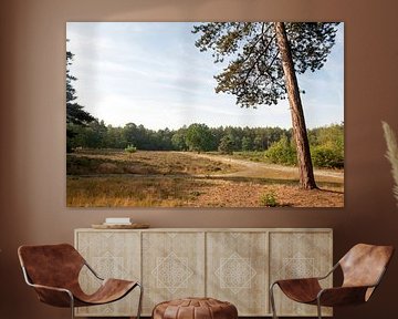 Heather landscape in the Valtherbos. by Richard Wareham