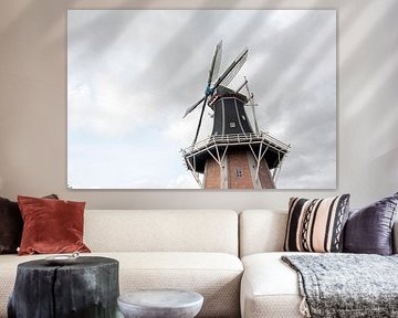 Molen Grauwe Kiekendief