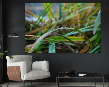 Raindrops on grass by Erika van Elst