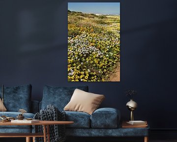 Floral sea Postberg, South Africa by Corinne Welp