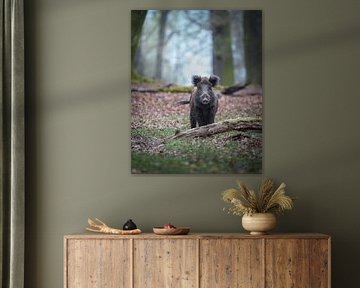 Wildschwein