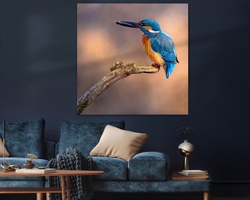 Kingfisher with fish