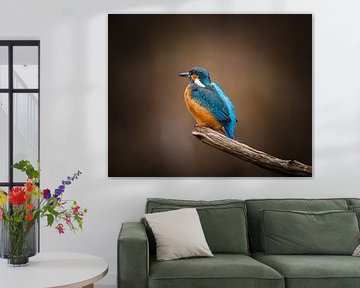 Eisvogel beim Ansitz von Hans-Bernd Lichtblau
