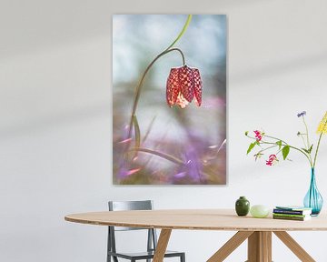 Kievitsbloem van Patricia van Kuik