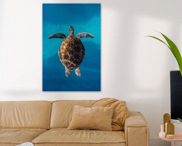 Zwevende schildpad van Romy Oomen
