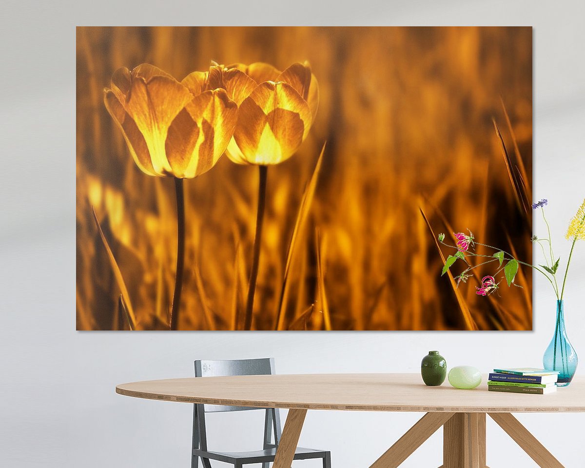Voorbeeld van het werk in een kamer