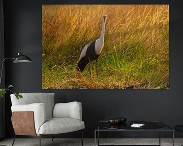 Portrait of a Crane by Chris Stenger