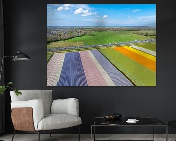 Tulpen in bloei in een veld in Nederland van Sjoerd van der Wal Fotografie