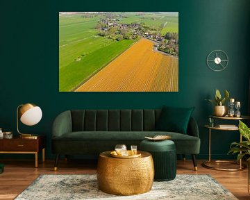 Tulpen in bloei in een veld in Nederland van Sjoerd van der Wal Fotografie