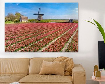 Tulpen bloeien in een veld in Nederland met een windmolen van Sjoerd van der Wal Fotografie