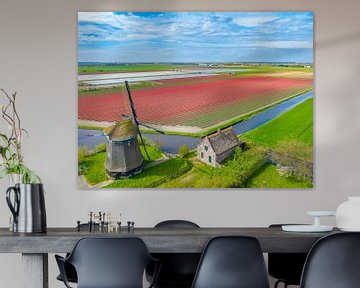 Tulpen bloeien in een veld in Nederland met een windmolen van Sjoerd van der Wal Fotografie