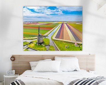Tulpen bloeien in een veld in Nederland met een windmolen van Sjoerd van der Wal Fotografie