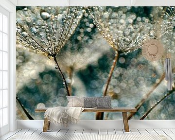 Dandelion Rainy Day von Julia Delgado