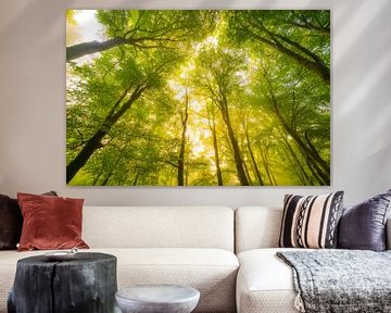 Sfeervol bos in de herfst met mist in de lucht van Sjoerd van der Wal Fotografie
