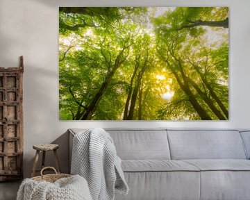 Sfeervol bos in de herfst met mist in de lucht van Sjoerd van der Wal Fotografie