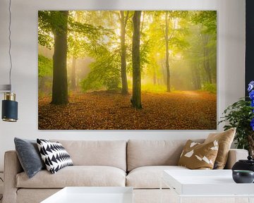 Sfeervol bospad in de herfst met mist in de lucht van Sjoerd van der Wal Fotografie