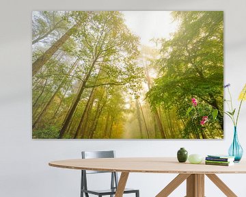 Sfeervol bos in de herfst met mist in de lucht van Sjoerd van der Wal Fotografie
