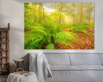 Sfeervol bos in de herfst met mist in de lucht van Sjoerd van der Wal Fotografie