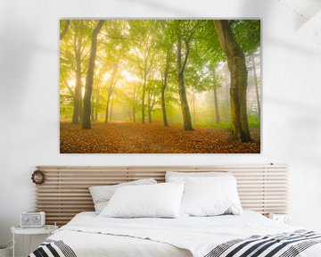 Sfeervol bospad in de herfst met mist in de lucht van Sjoerd van der Wal Fotografie