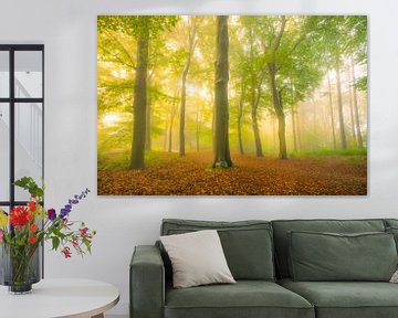 Sfeervol bospad in de herfst met mist in de lucht van Sjoerd van der Wal Fotografie