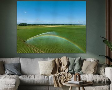 Besproeiingspivotmachines sproeien water op een veld