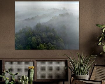 Mistig bos vanuit de lucht tijdens de herfst van Sjoerd van der Wal Fotografie