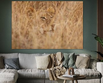 versteckter Löwe von Meleah Fotografie