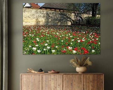 Farben des Frühlings von Thomas Riess