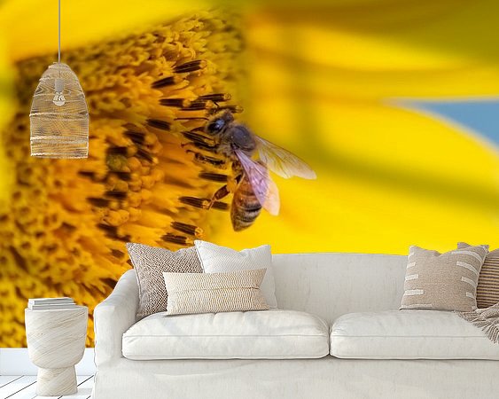 Raumvorschau