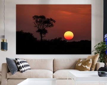 Zonsondergang Kruger National Park van Meleah Fotografie