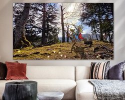 Aperçu de la chambre