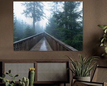 Natuur vanuit het perspectief van de bezoeker van Anselm Ziegler Photography