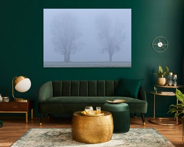 Vier bomen in de mist van Your Happy Life