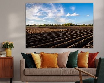 Ploughed Land near Steenwijk with the tower in view. by Brian Morgan