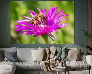 Paarse bloem met bezige bij