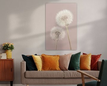 Simplicity in a rural atmosphere with a pink hue: Together until we are blown out by Marjolijn van den Berg