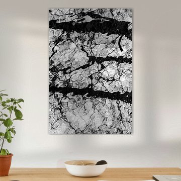 Reflection in motion