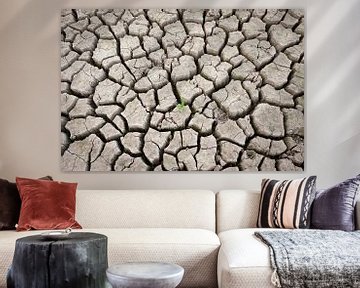 Cracked Earth van Kim Dalmeijer