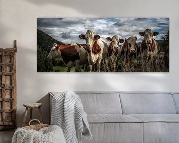 Cows in France van Eppo Karsijns