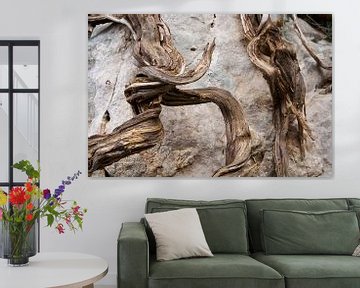 Interwoven Time : Natural Patterns on Stone (Le temps entrelacé : motifs naturels sur la pierre) sur Cor de Hamer