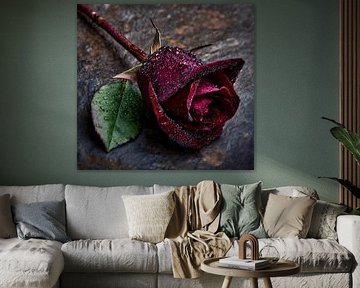 Een gevallen rode roos van Transmutation Art