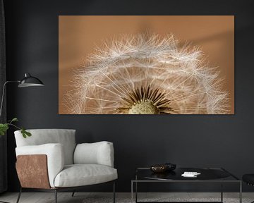 Panorama van een halve Paardenbloem van Marjolijn van den Berg