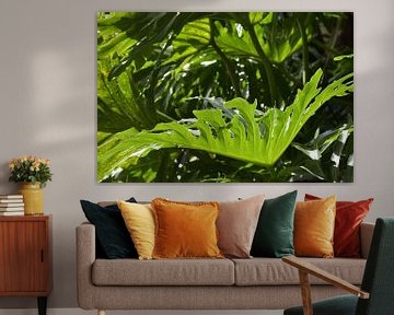 Natuurlijke compositie in de Jungle van Bianca ter Riet