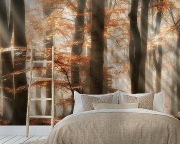 Rays of Grace by Lars van de Goor